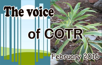 COTR Voice February Issue 2016